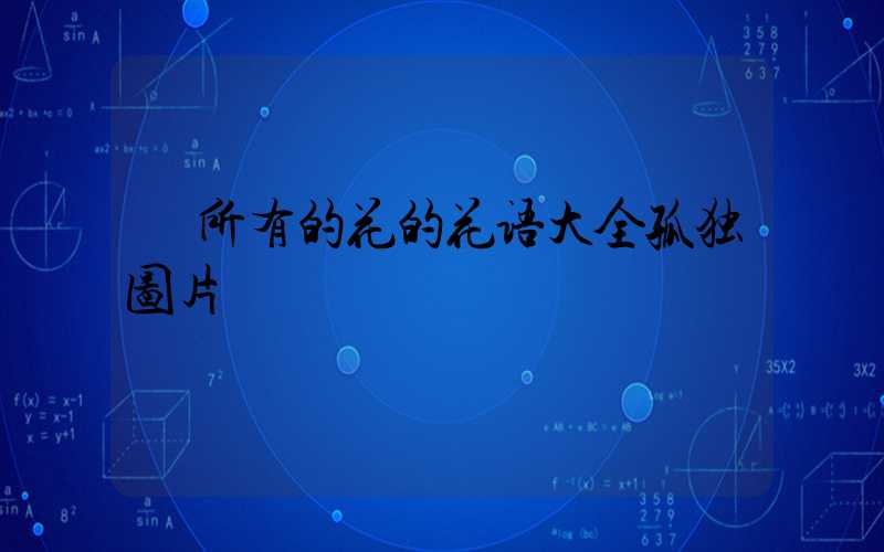  所有的花的花语大全孤独图片